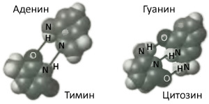 Десять великих идей науки. Как устроен наш мир. - i_022.jpg