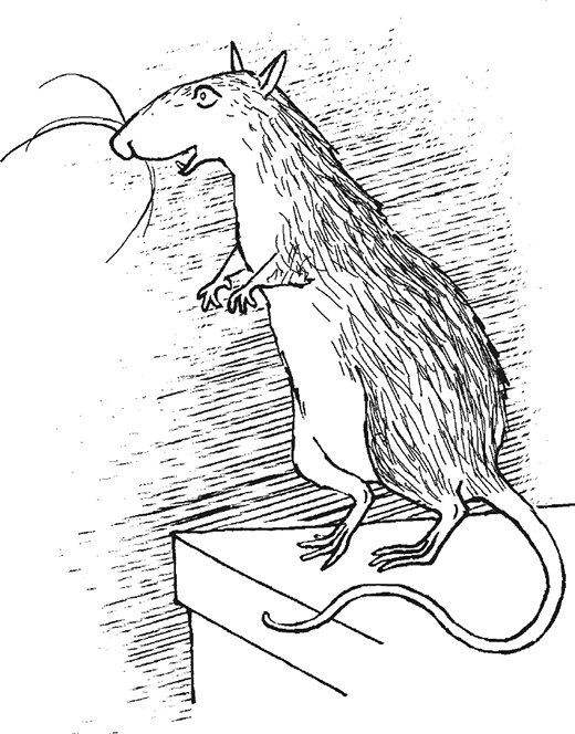 Крысявки. Крысиное житие в байках и картинках - i_003.png