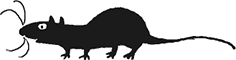 Крысявки. Крысиное житие в байках и картинках - i_004.png