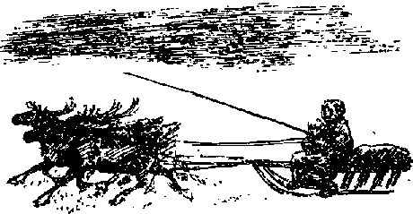 Что я видел (сборник) - i_010.png