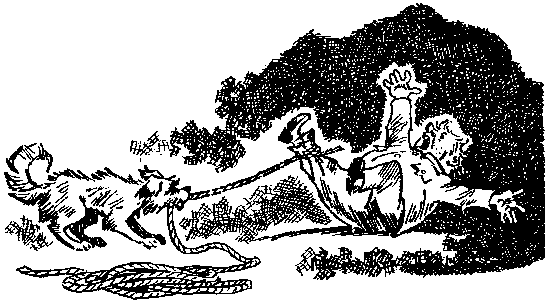Мореплавания Солнышкина - pic_76.png