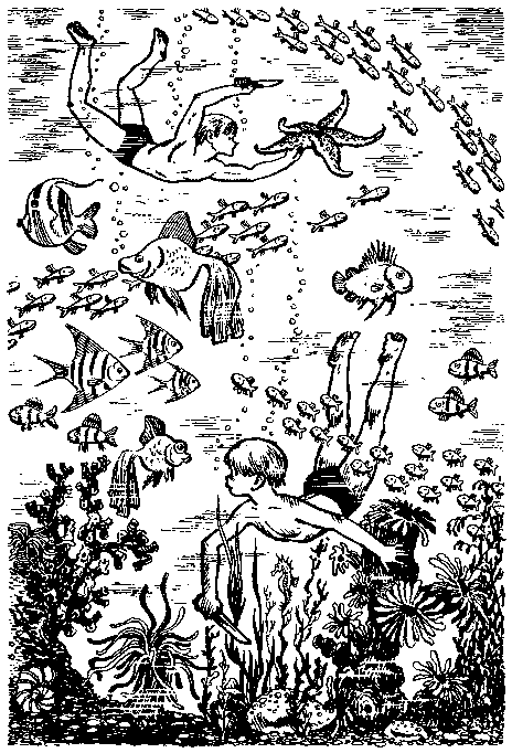 Мореплавания Солнышкина - pic_83.png
