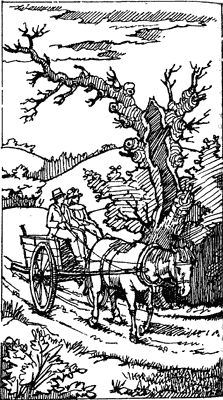 История Энн Ширли. Книга 2 - i_013.png