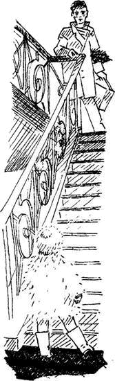 Аврора из корпуса «Ц» - i_003.png
