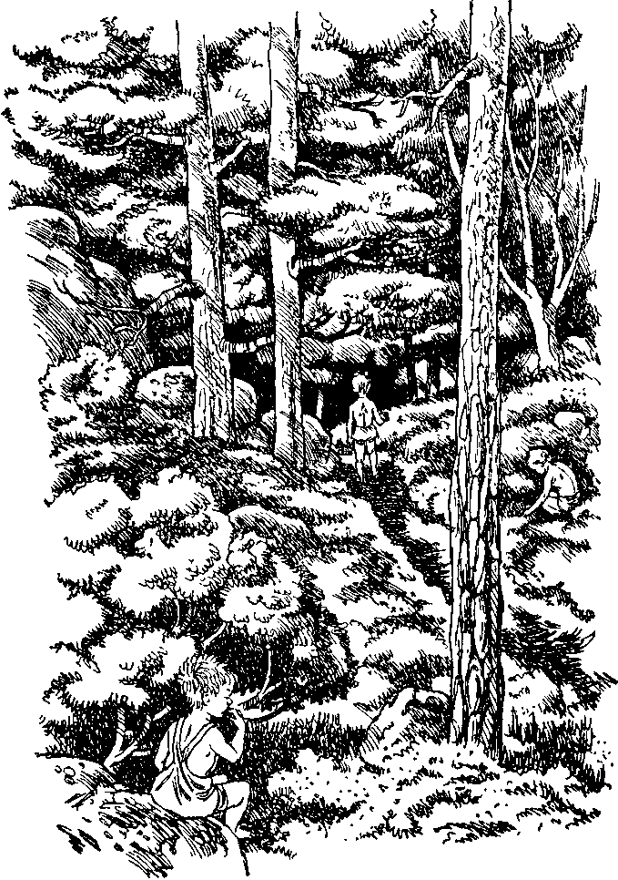 Папа, мама, восемь детей и грузовик (Художник Юхан Вестли) - i_007.png