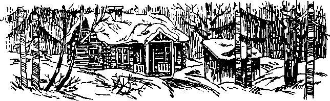 Папа, мама, восемь детей и грузовик (Художник Юхан Вестли) - i_017.png