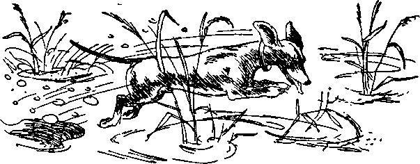 Папа, мама, восемь детей и грузовик (Художник Юхан Вестли) - i_018.png