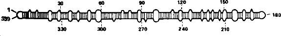 Аксиомы биологии - i_15.png