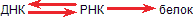 Аксиомы биологии - p_12.png