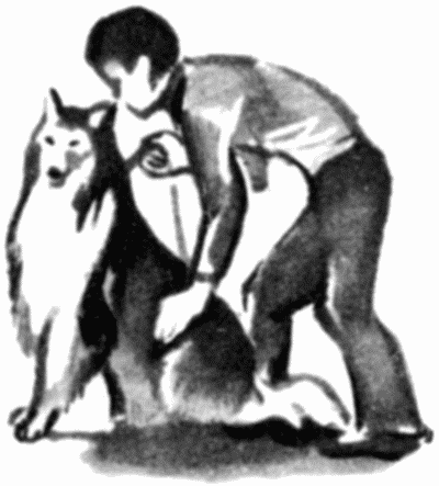 Юный дрессировщик - i_001.png