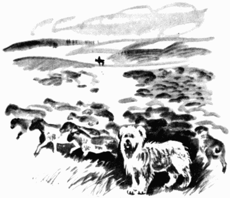 Юный дрессировщик - i_017.png