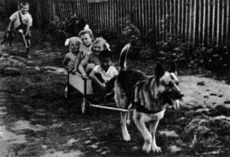 Юный дрессировщик - i_018.jpg
