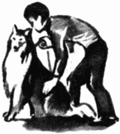 Юный дрессировщик - i_023.png