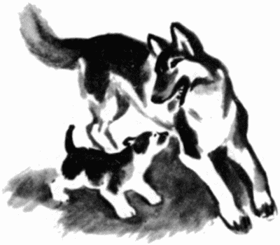 Юный дрессировщик - i_037.png