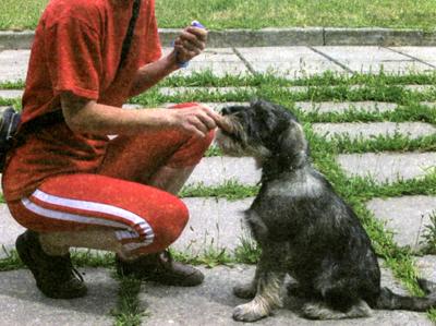 Клик-ням. Кликер-дрессировка для начинающих - i_003.jpg