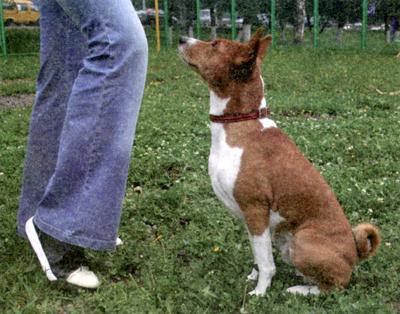 Клик-ням. Кликер-дрессировка для начинающих - i_006.jpg
