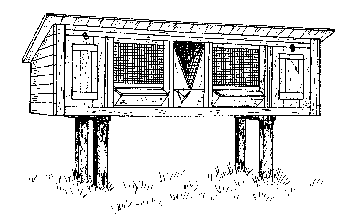 Болезни кроликов и нутрий - i_006.png