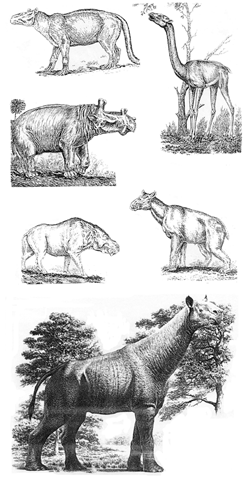 История земли и жизни на ней - img55.png