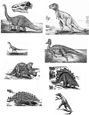История земли и жизни на ней - img45.png