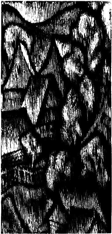 Три аксиомы - i_033.png