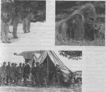 Эволюционная психология. Секреты поведения Homo sapiens - img3BFC.jpg