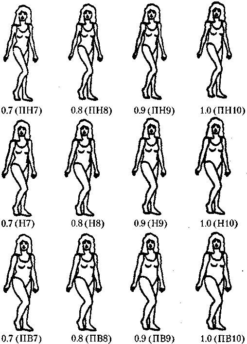 Эволюционная психология. Секреты поведения Homo sapiens - imgF2BC.jpg