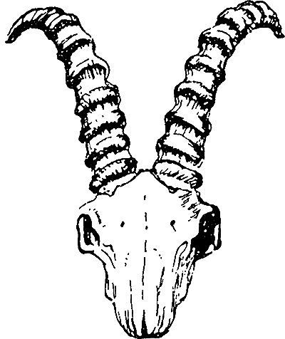 Великие открытия (илл.) - i_057.png