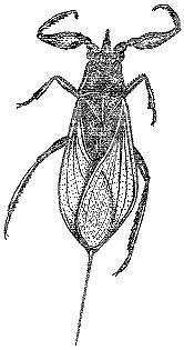 Аквариум в школе - _32.jpg