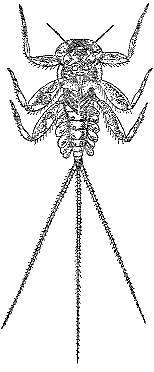 Аквариум в школе - _27.jpg