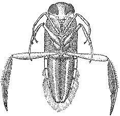 Аквариум в школе - _31.jpg