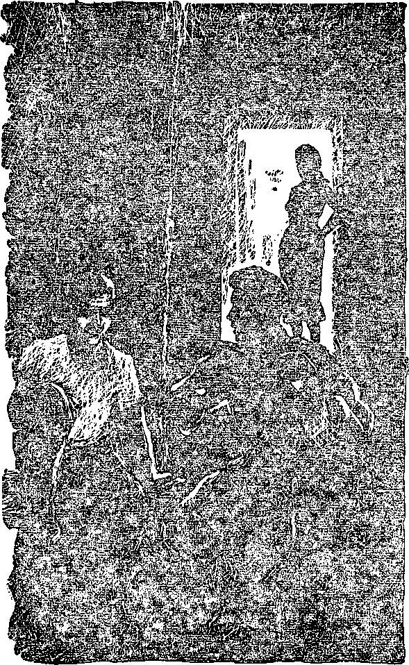 Антология советского детектива-38. Компиляция. Книги 1-20 (СИ) - i_116.jpg