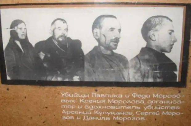 Попаданец Павлик Морозов (СИ) - i_010.jpg