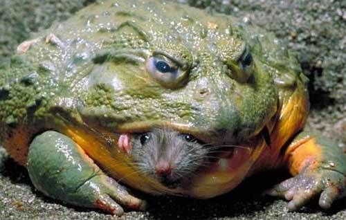 Между Сциллой и Харибдой (СИ) - i_043.jpg