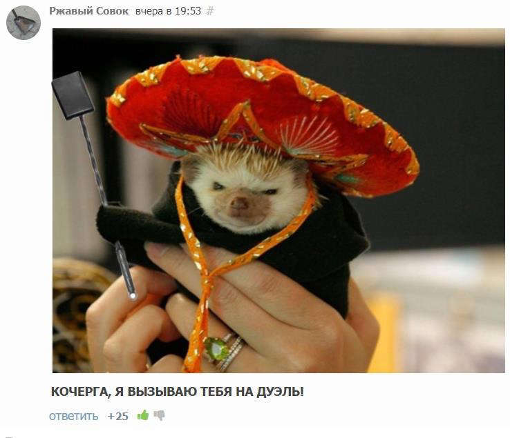 Инсомния (СИ) - _e51e2f6a7cc945aaaa5e2a97b57d07dd.jpg