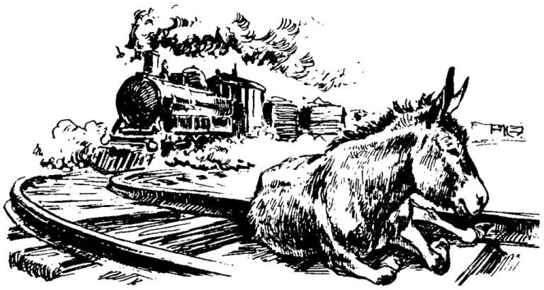 Голоса животных и растений - i_004.jpg