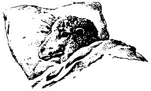 Голоса животных и растений - i_015.jpg