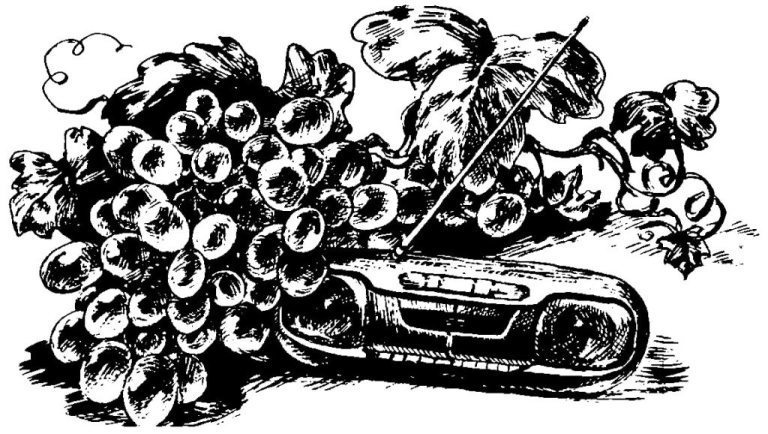 Голоса животных и растений - i_024.jpg