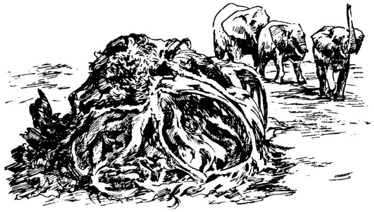 Голоса животных и растений - i_026.jpg