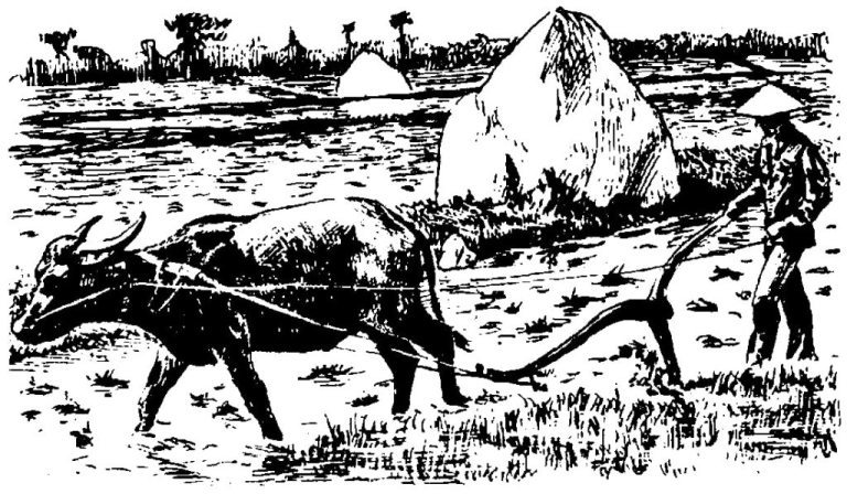 Голоса животных и растений - i_030.jpg