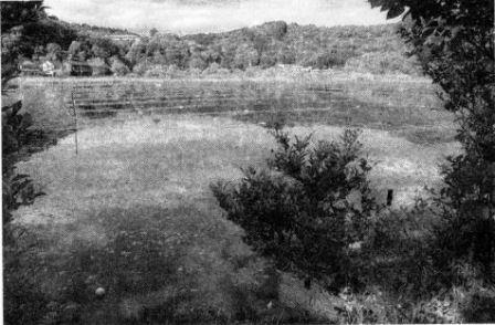 Тоси Дэнсэцу. Городские легенды современной Японии - Pic338.JPG_0