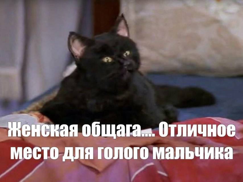 Салем кот Поттера (СИ) - img_232.jpg_0