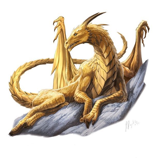 Дракон из Каэр Морхена (СИ) - image14.jpeg