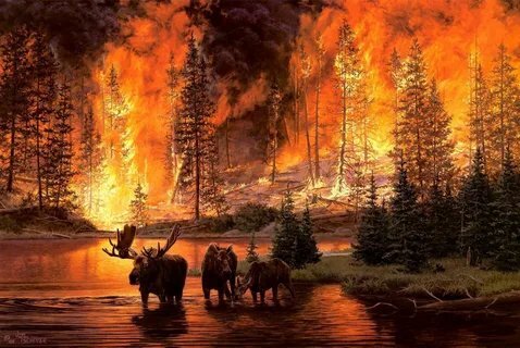 Дракон из Каэр Морхена (СИ) - image20.jpeg