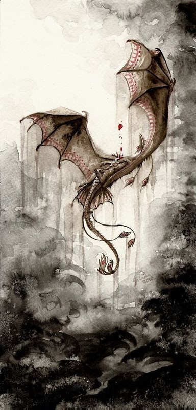 Дракон из Каэр Морхена (СИ) - image81.jpeg