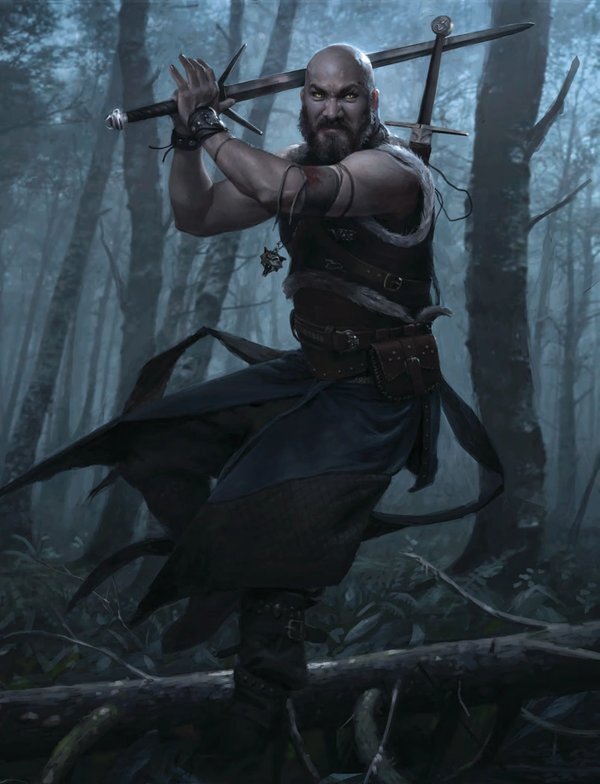 Дракон из Каэр Морхена (СИ) - image180.jpeg