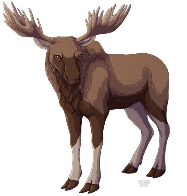 Дракон из Каэр Морхена (СИ) - image233.jpeg