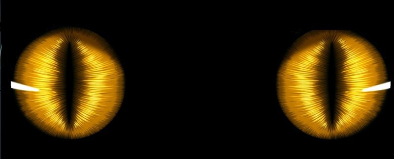 Дракон из Каэр Морхена (СИ) - image274.jpeg