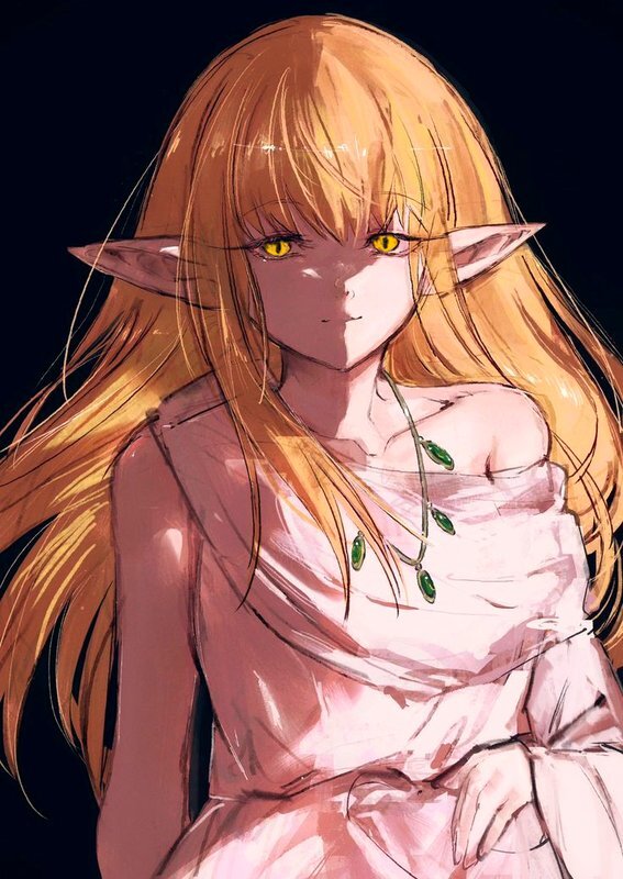 Дракон из Каэр Морхена (СИ) - image319.jpeg