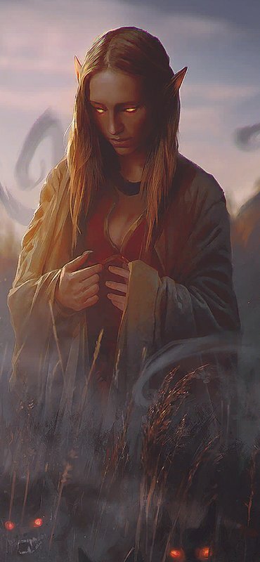 Дракон из Каэр Морхена (СИ) - image342.jpeg