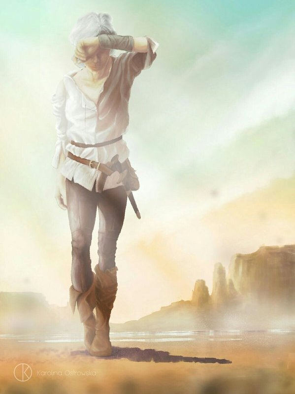 Дракон из Каэр Морхена (СИ) - image385.jpeg